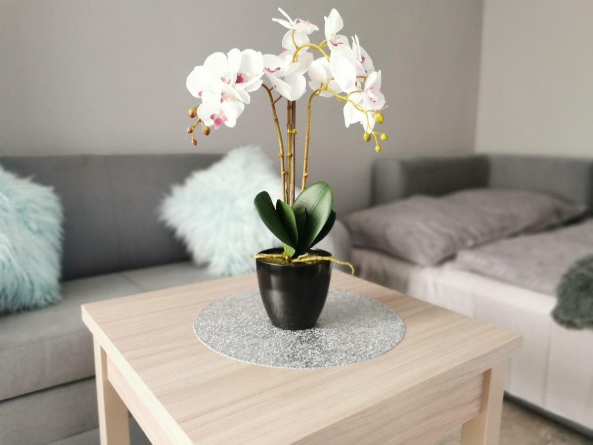 Apartment Gorska 8 - Blisko Centrum Świeradów-Zdrój